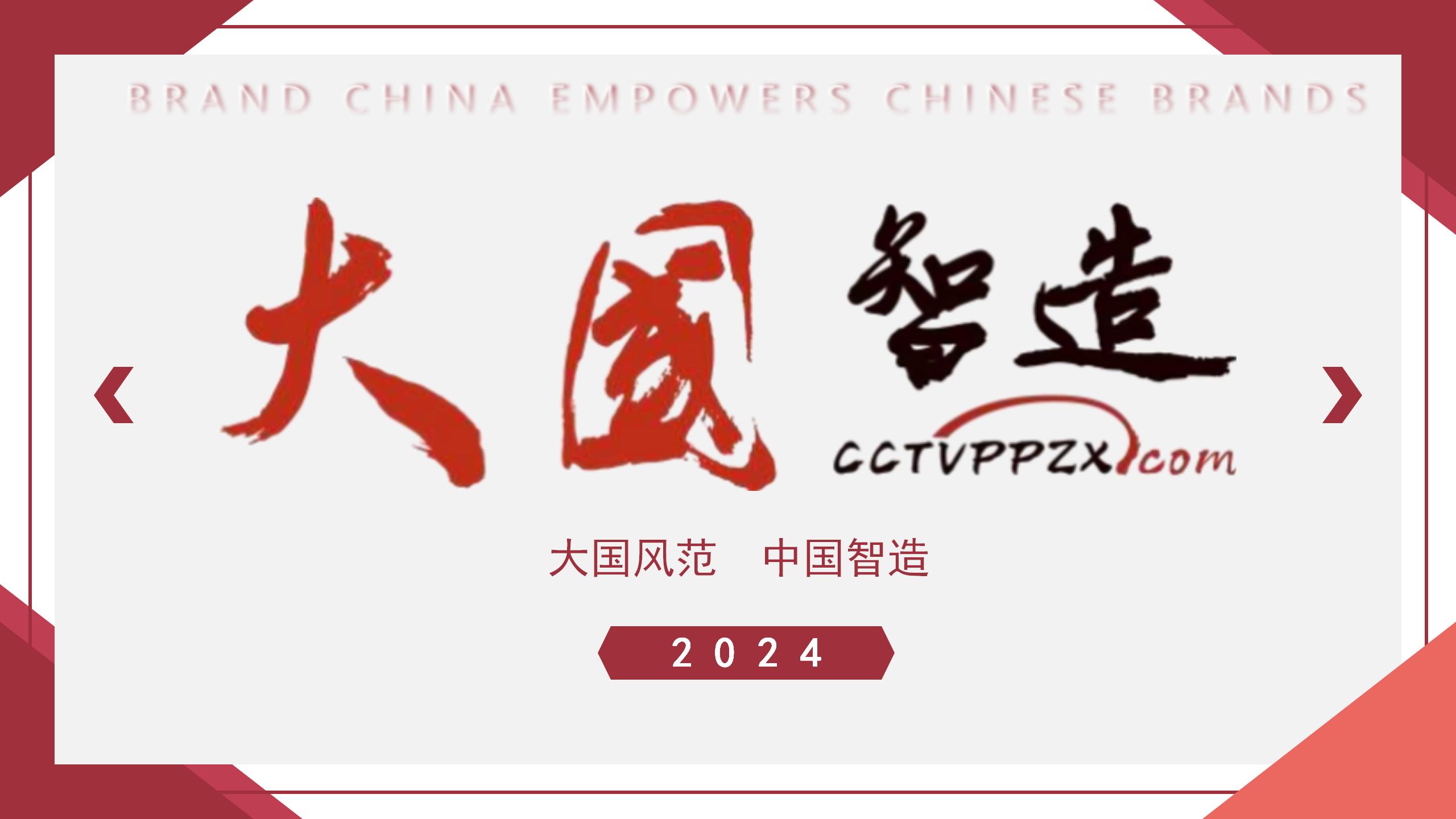 《大国智造》重点推荐品牌